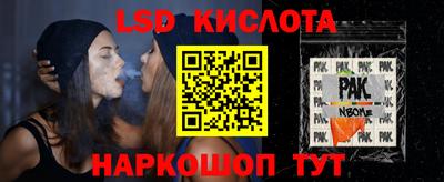 spice Новодвинск