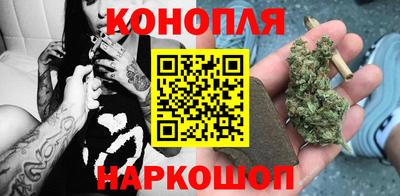 spice Новодвинск