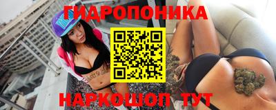 наркотики Новозыбков